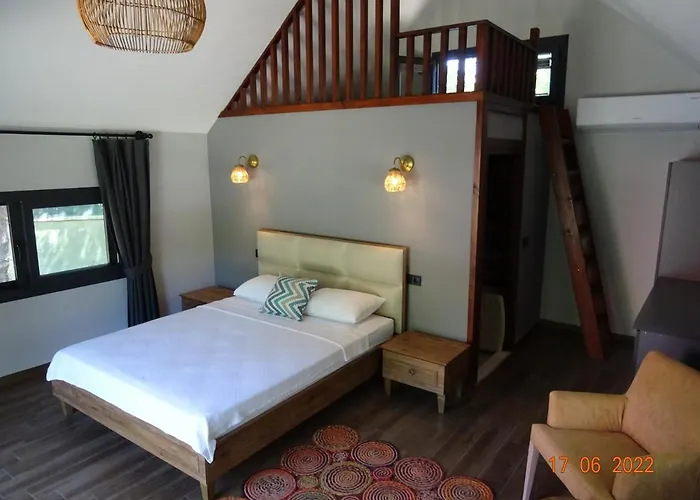 Bed & Breakfast Gaia Koru