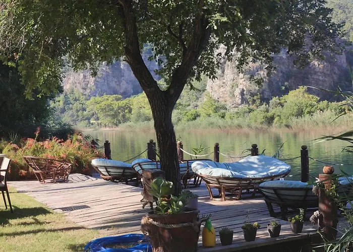 Gaia Koru Bed & Breakfast